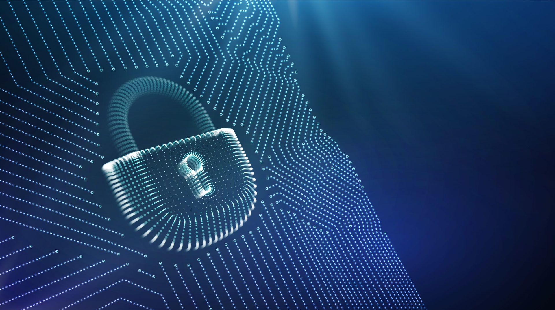 Cybersecurity & Networking Training