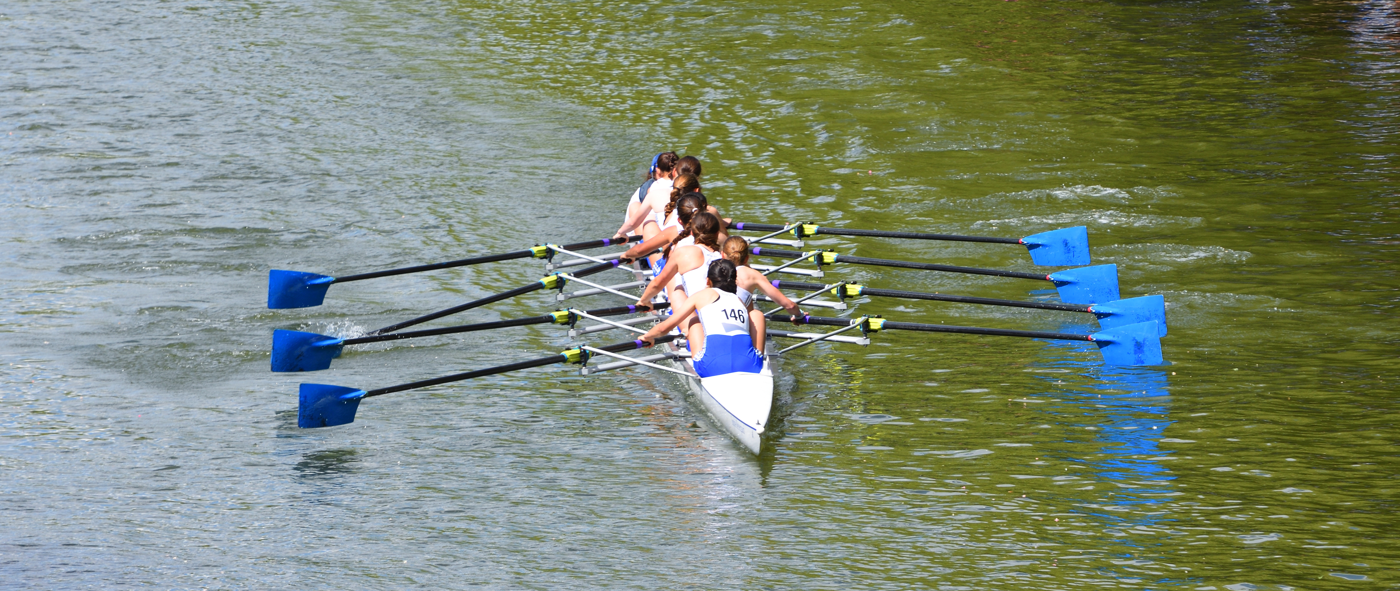 A team of rowers with blue oars propels a racing shell across a river.